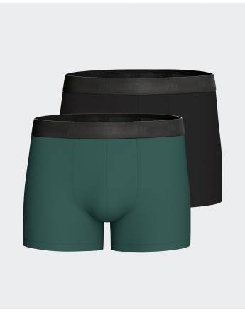 Impetus Set 2 men's boxer in Lyocell N65-IM1221N65P2-GN096 Green