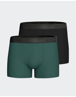Impetus Set 2 men's boxer in Lyocell N65-IM1221N65P2-GN096 Green